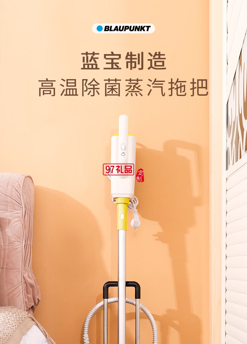 藍寶·多功能蒸汽清潔機 