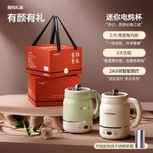 1.9電燉杯