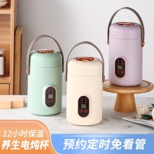 多功能電燉鍋